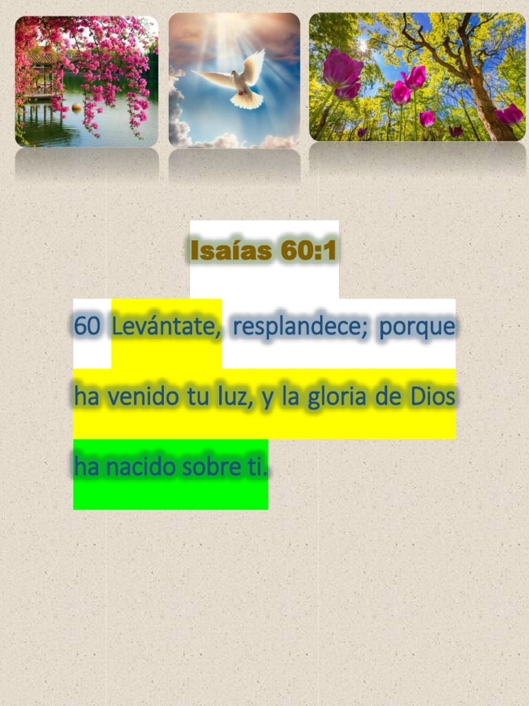 Isaías 60 1 Pdf