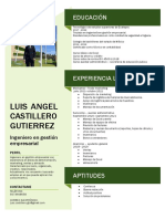 Curriculum Vitae Castillero