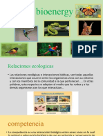 Bioenergy Naturales