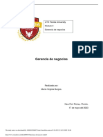 Gerencia de Negocios m3 PDF