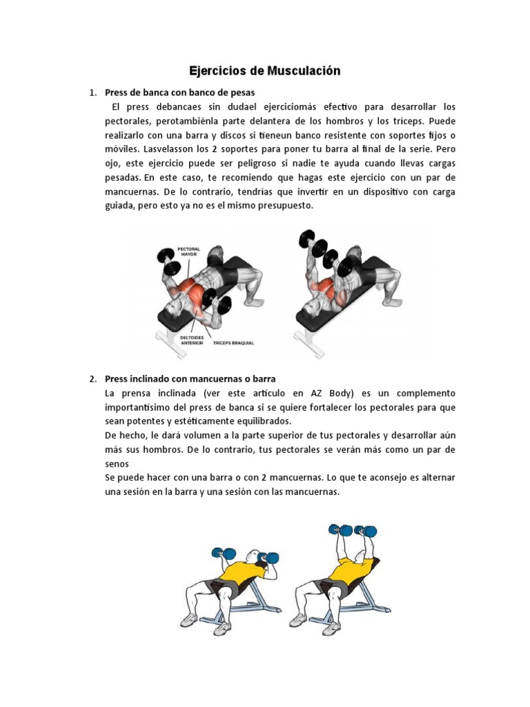 Ejercicios De Musculación Pdf