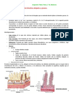 Tema 22. Enfermedades Intestino