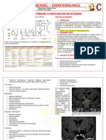 E-3 Hipofuncion Hipofisiaria. Dr. Herrera