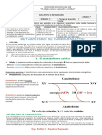 Metabolismo 2022