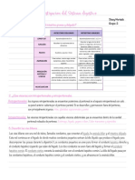 Investigación Del Sistema Digestivo