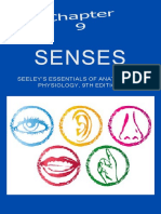 Anatomy Physiology Senses