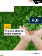 6.5 Visión Holística Del Medio Ambiente - 2022