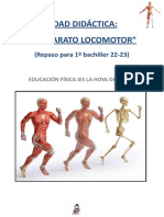 Apuntes de Anatomía REPASO 1o BACH Deff