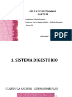 Atlas de Histologia Parte 2