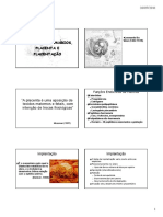 Placenta Placentacao Atual