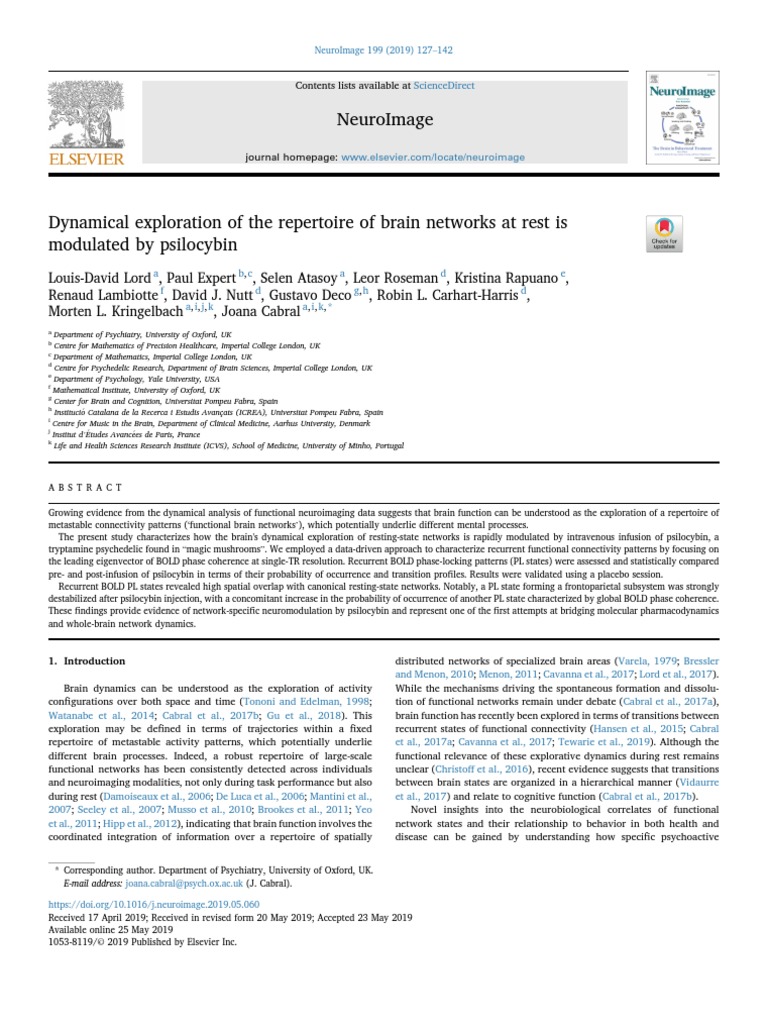Dynamical Exploration of The Repertoire of Brain Networks at Rest Is ...