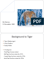 Tiger: Dr. Nawroz 5/ December/ 2022