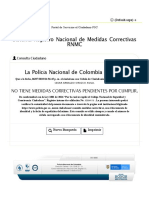 Consulta RNMC