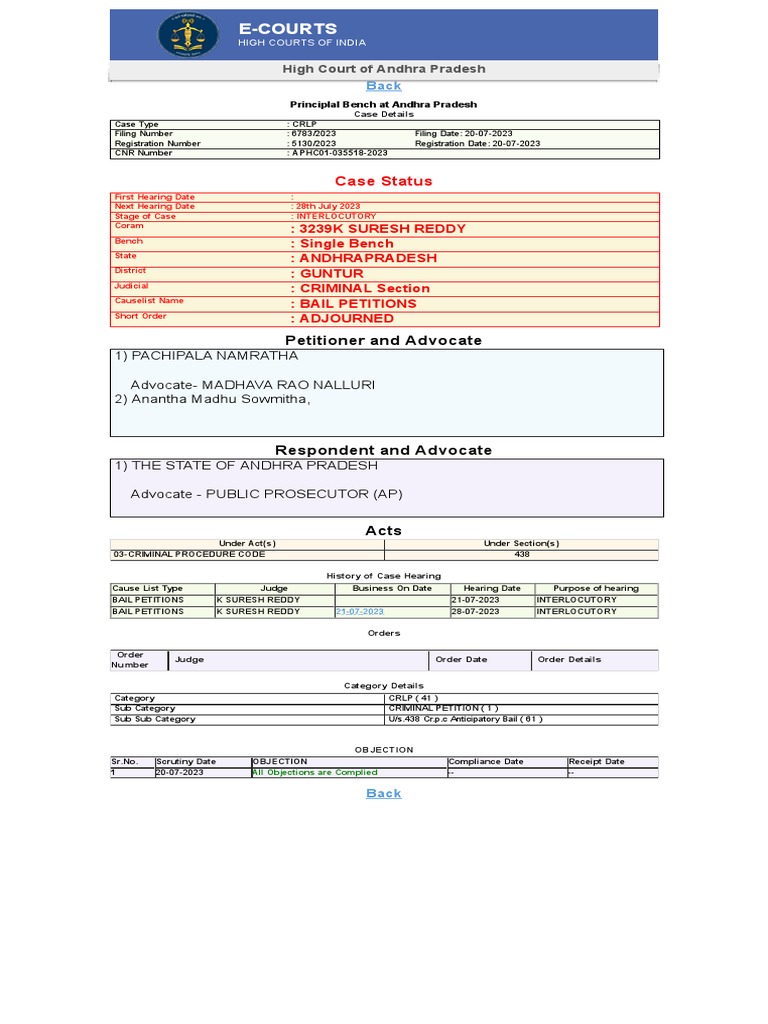 Case Status Search by PetitionersRespondents Name PDF Bail