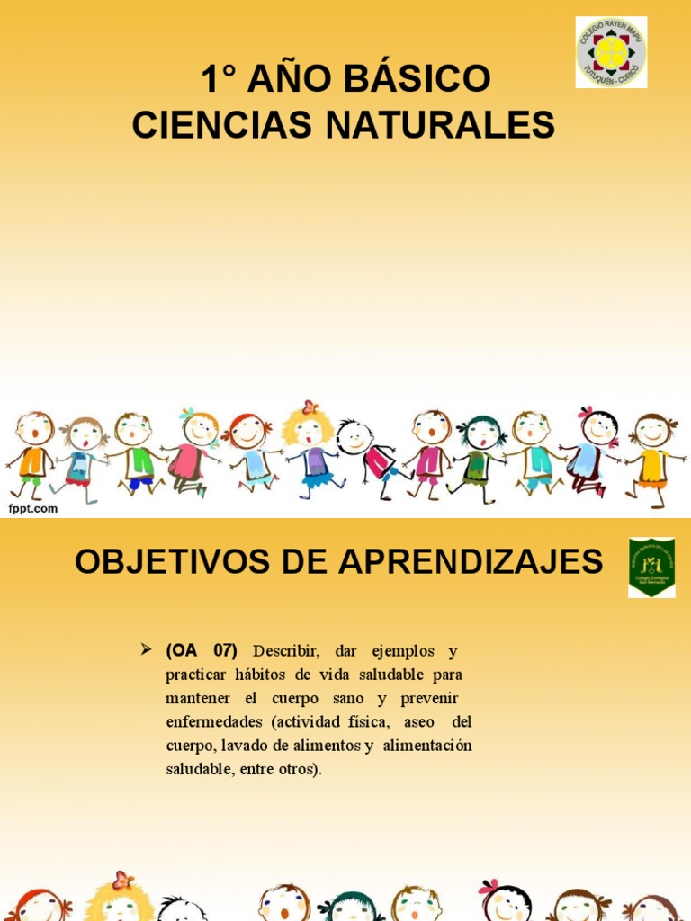 Ciencias 2 Básico Pdf