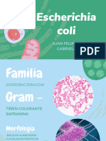 Escherichia Coli: Juan Felipe Valencia Gabriela Ramirez