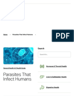 Parasites That Infect Humans - Liver Doctor