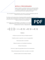 Aplicacione Matrices y Determinantes Santiago Casamen