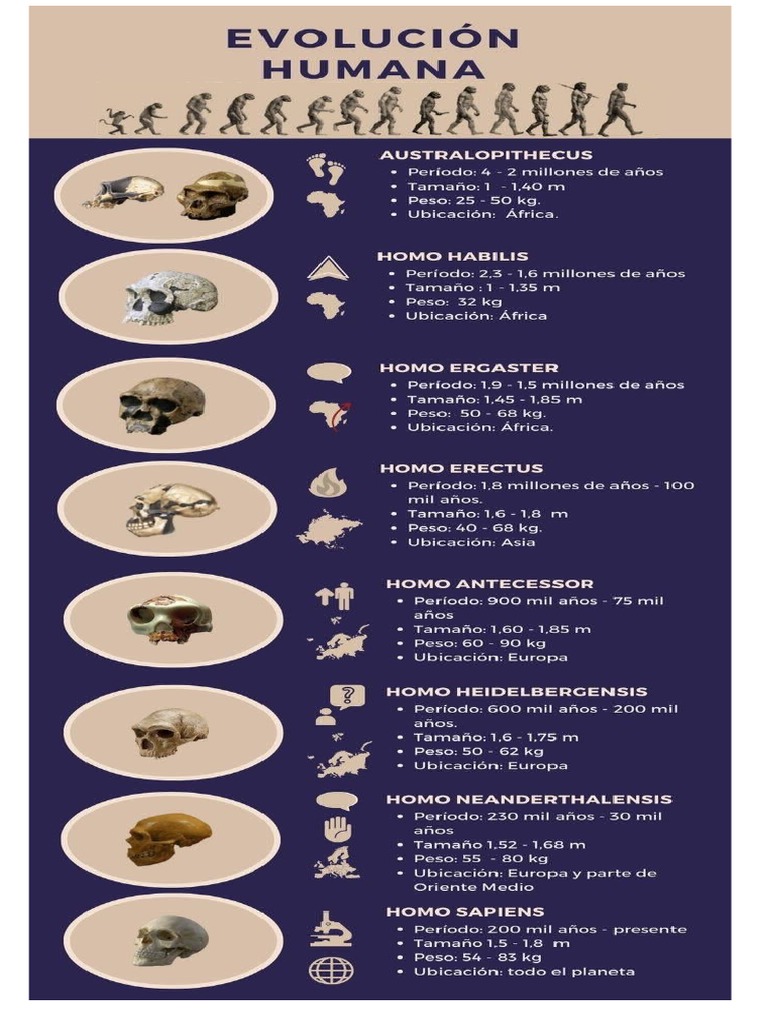 Ochagavía intelligence overview