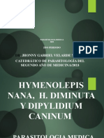 Clase No4.2 Iminolepsis Nanadel 2do Periodo Parasitologia