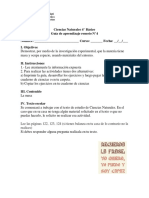 4° Básico - Guia de Aprendizaje Remoto - Ciencias - N°4