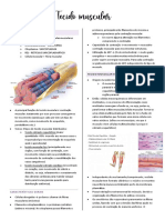 Tecido Muscular
