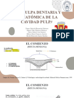 Presentación Sin Título