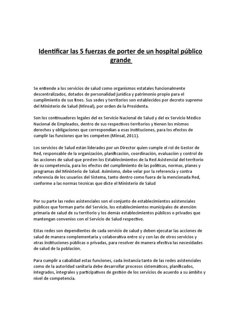 Identificar Las 5 Fuerzas de Porter de Un Hospital Público Grande PDF