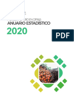 Anuario Estadistico 2020