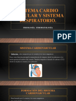 8 Sistema Cardiovascular y Respiratorio
