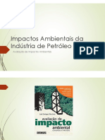 Aula 16 Avaliação de Impactos Ambientais