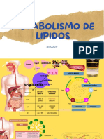 Metabolismo de Lipidos