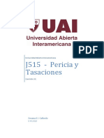 J515 - Pericias y Tasaciones - Emanuel Gallardo (1)