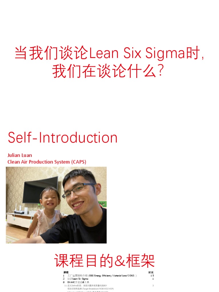 1.当我们谈论Lean Six Sigma时，我们在谈论什么？ | PDF
