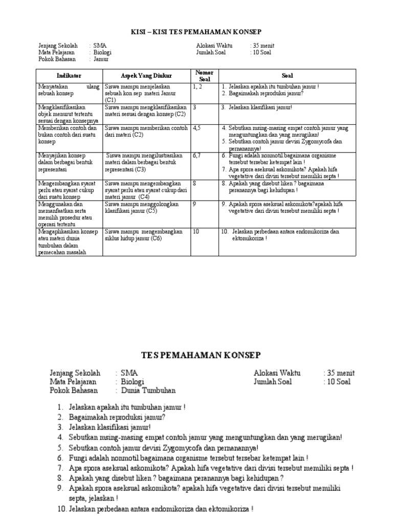 Kisi - Kisi Tes Pemahaman Konsep Baru | PDF