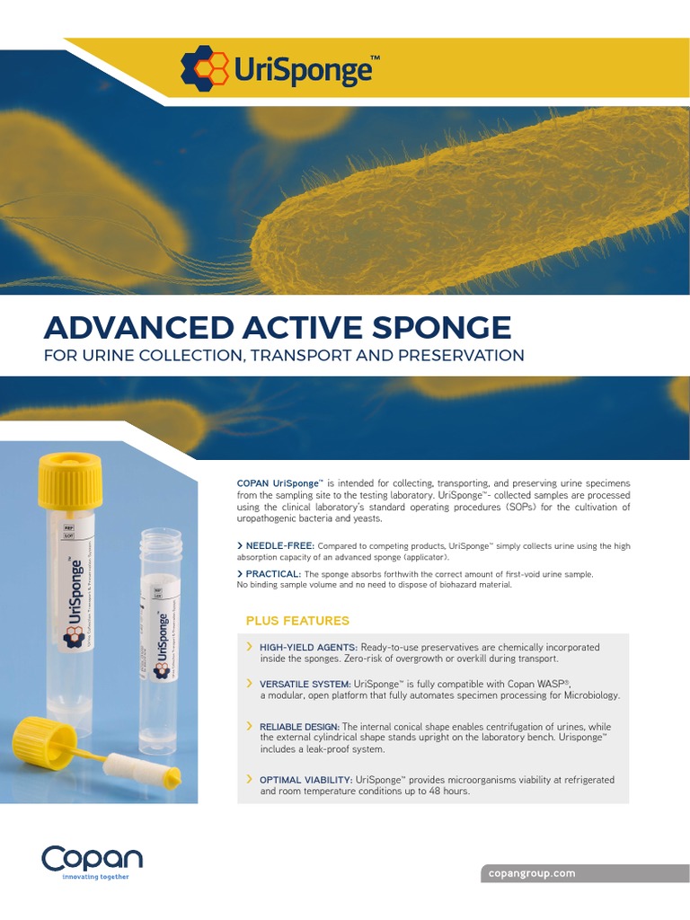 Brochure UriSponge™ | PDF