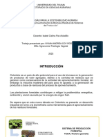 Biorrefinería en La Industria Maderable TECA