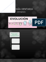 Clase Embriología Dentaria