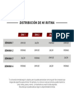 Distribuci N de Mi Rutina - Semana 1 A 4