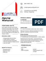 Curriculum Vitae Agung Wahyudi