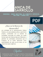 Banca de Desarrollo