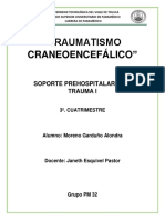 Traumatismo Craneoencefalico