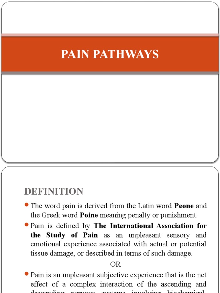 Pain Pathways | PDF | Pain | Chronic Pain