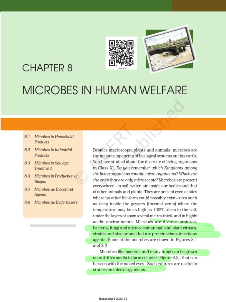 The Rise of Seep: Revolutionizing Pest Control with Innovative Technology