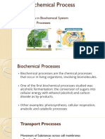 M4 Biochemical Processes