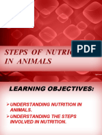 Steps of Nutrition