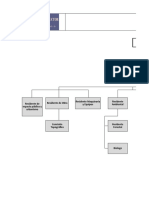 Anexo 1 Organigrama Consorcioconstructor Psa