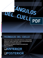 Triangulos Del Cuello