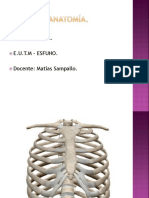 Anatomía Torax PDF