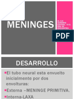 Meninges y Vasos Del SNC